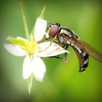 /album/www-teknobilgi-com/photolia-a02-jpg/