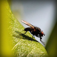 /album/www-teknobilgi-com/photolia-a04-jpg/