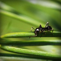 /album/www-teknobilgi-com/photolia-a05-jpg/