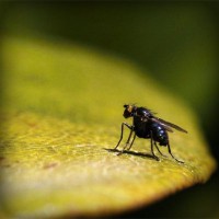 /album/www-teknobilgi-com/photolia-a07-jpg/