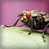 /album/www-teknobilgi-com/photolia-a08-jpg/